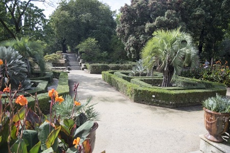 Jardin des plantes