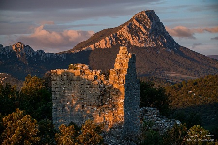 Pic Saint Loup